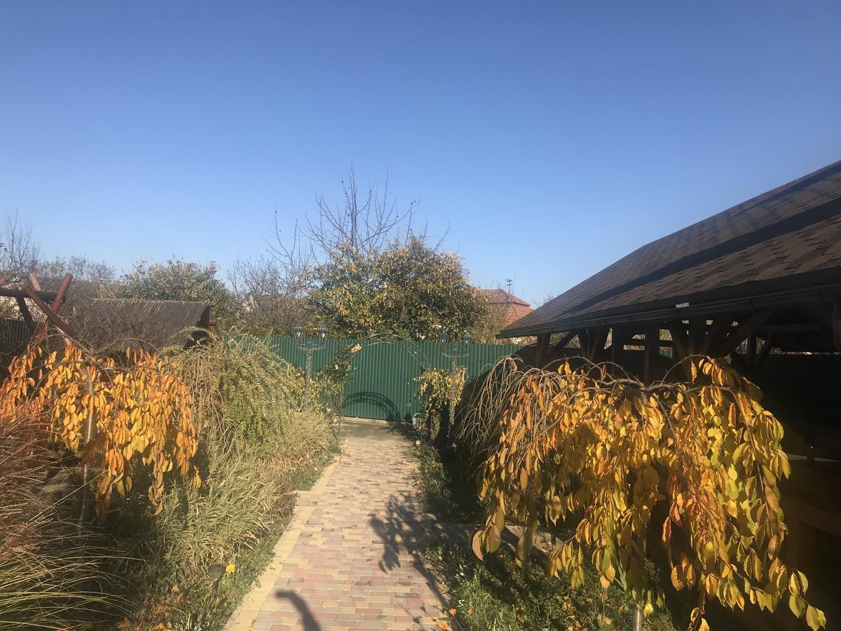 Міні Готель Вілла Вікторія Berehove  Exterior foto