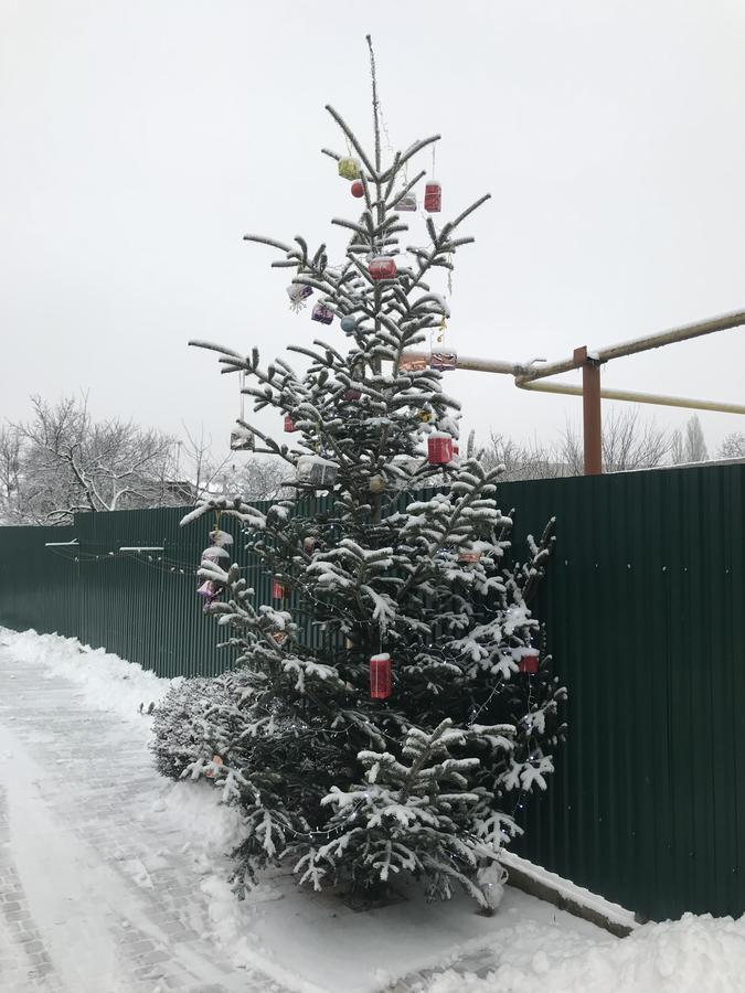 Міні Готель Вілла Вікторія Berehove  Exterior foto
