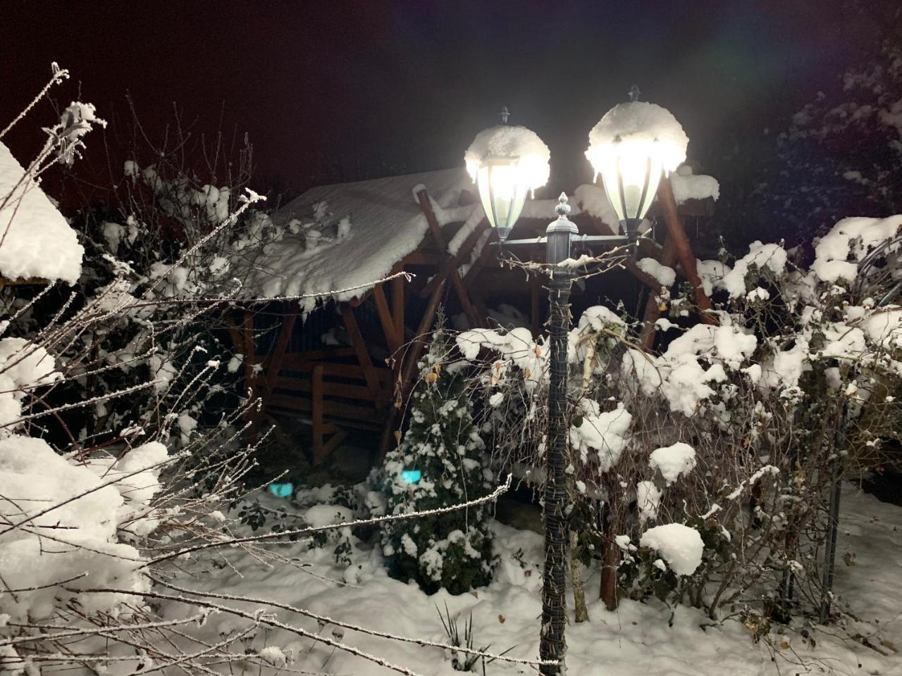 Міні Готель Вілла Вікторія Berehove  Exterior foto