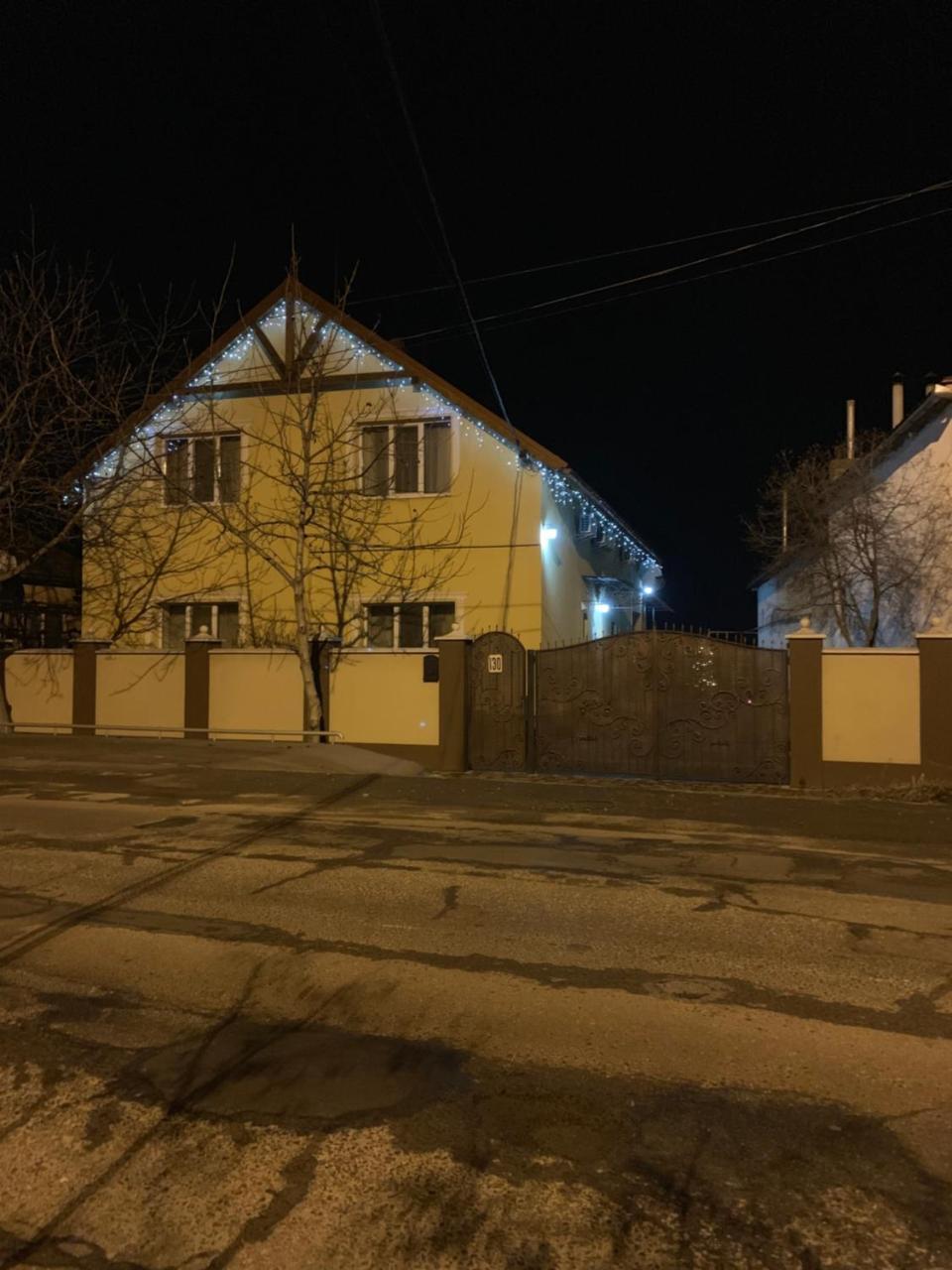 Міні Готель Вілла Вікторія Berehove  Exterior foto