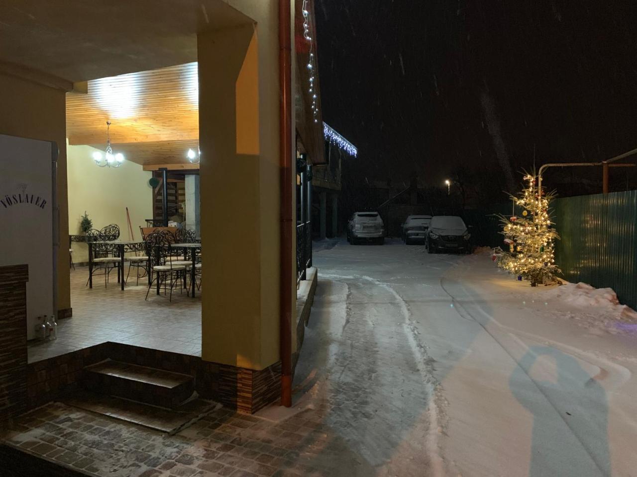 Міні Готель Вілла Вікторія Berehove  Exterior foto